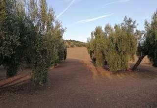 Landdistrikter / landbrugsjord til salg i Fuerte del Rey, Jaén. 